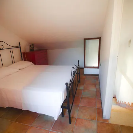 Rote Rose By Interhome