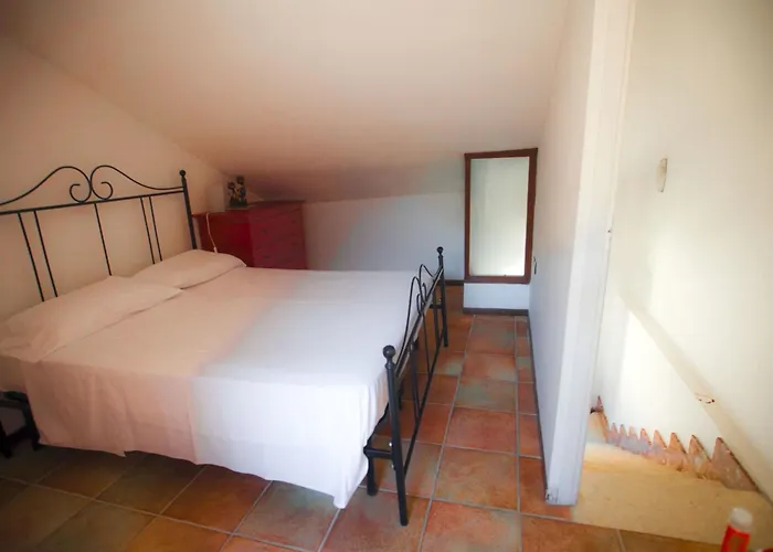 Rote Rose By Interhome