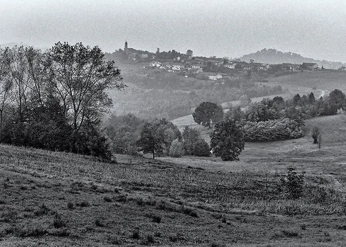 Rote Rose By Interhome 브루사스코