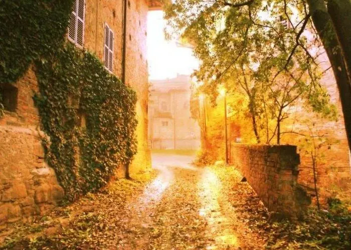 Rote Rose By Interhome Daire